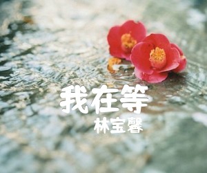 《我在等吉他谱》_林宝馨_C调_吉他图片谱2张