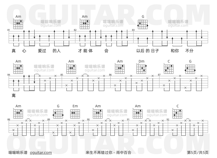 来生不再错过你 雨中百合 吉他谱第5页
