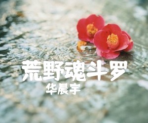 《荒野魂斗罗吉他谱》_华晨宇_C调_吉他图片谱5张