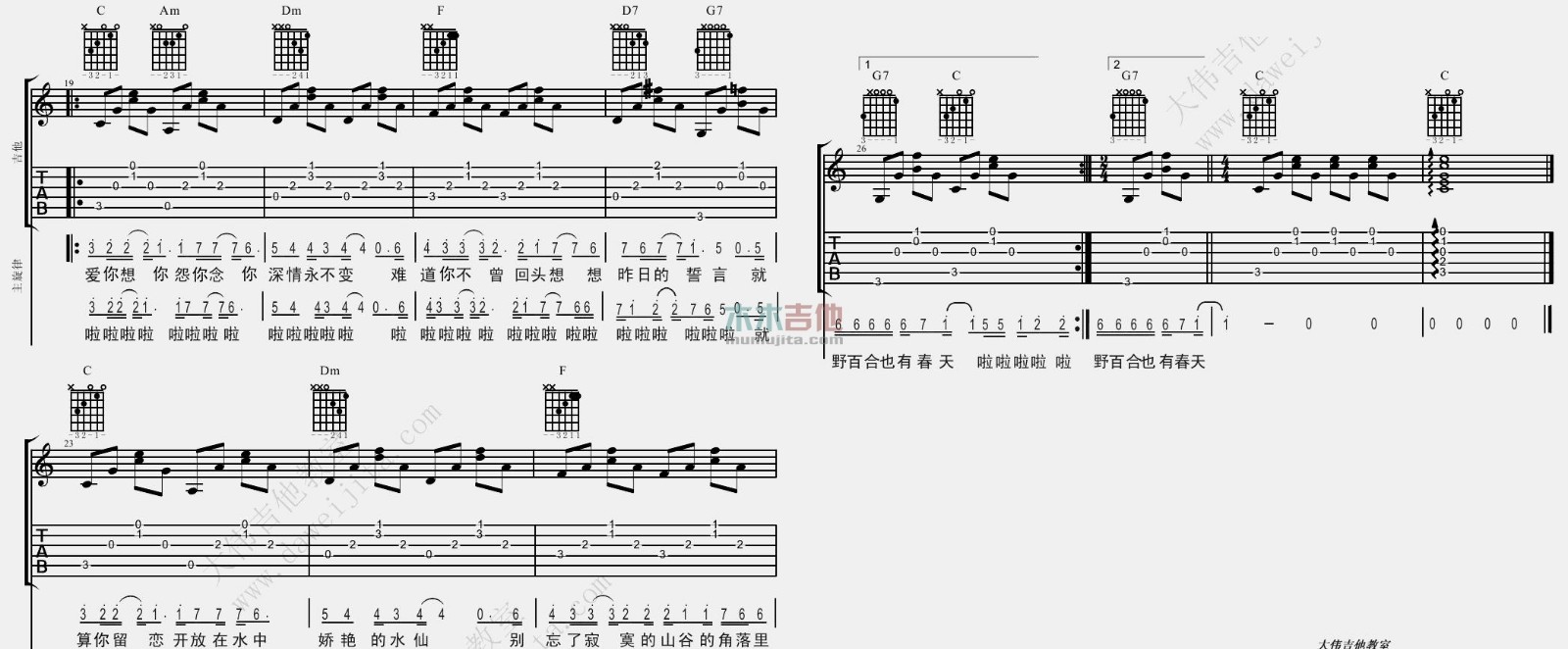 野百合也有春天吉他谱_罗大佑_C调原版_吉他弹唱演示/教学