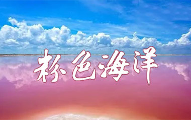 周杰伦粉色海洋吉他谱,简单G调原版弹唱曲谱,周杰伦高清六线谱教学