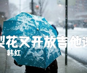 《梨花又开放吉他谱吉他谱》_韩红_G调_吉他图片谱2张