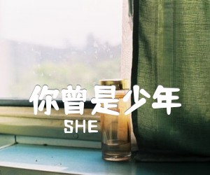 《你曾是少年吉他谱》_SHE_F调_吉他图片谱4张