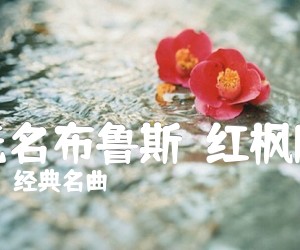 《无名布鲁斯（红枫版）吉他谱》_经典名曲_E调_吉他图片谱1张