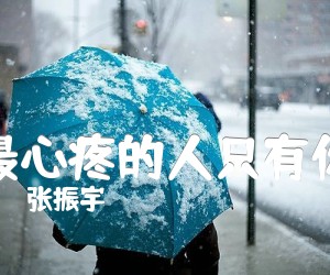 《最心疼的人只有你吉他谱》_张振宇_C调_吉他图片谱3张