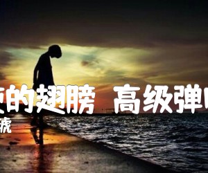 《天使的翅膀（高级弹唱版）吉他谱》_安琥_G调_吉他图片谱2张