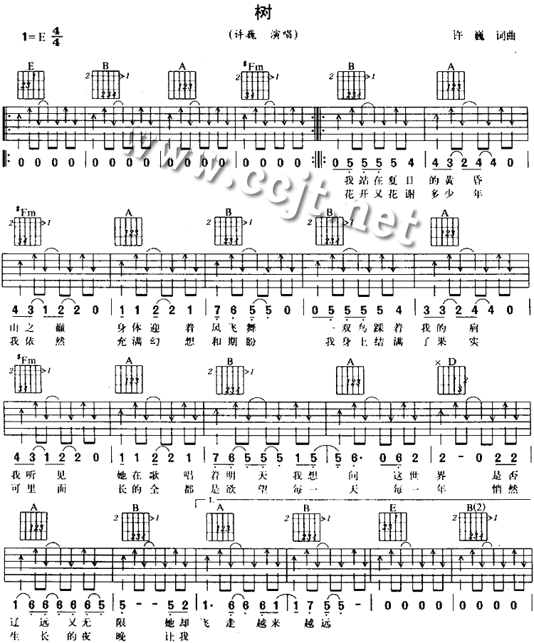 树吉他谱,原版歌曲,简单E调弹唱教学,六线谱指弹简谱3张图