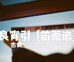 《良宵引  [笛萧谱]吉他谱》_古曲_G调_吉他图片谱1张