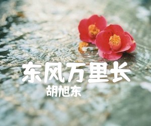 《东风万里长吉他谱》_胡旭东_A调_吉他图片谱1张