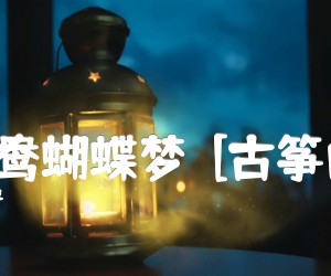 《新鸳鸯蝴蝶梦  [古筝曲谱]吉他谱》_黄安_G调_吉他图片谱1张