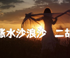 《大河涨水沙浪沙   二胡曲谱吉他谱》_张锐_G调_吉他图片谱1张