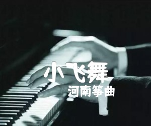 《小飞舞吉他谱》_河南筝曲_G调_吉他图片谱1张