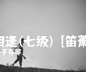 《喜相逢(七级)  [笛萧谱]吉他谱》_冯子存等_C调_吉他图片谱1张