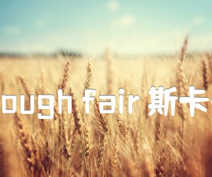 《scarborough fair 斯卡保罗集市吉他谱》_scarborough_G调_吉他图片谱2张