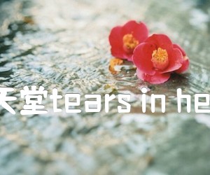 《泪洒天堂tears in heaven吉他谱》_泪洒天堂tears_A调_吉他图片谱4张