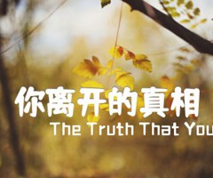 你离开的真相吉他谱_The Truth That You Leave_原版吉他简谱