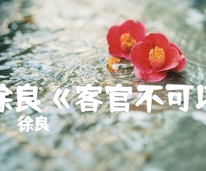 《徐良《客官不可以吉他谱》_徐良_C调_吉他图片谱17张