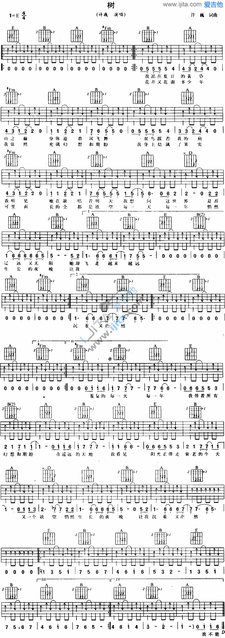 树吉他谱,简单C调原版指弹曲谱,许巍高清流行弹唱六线乐谱