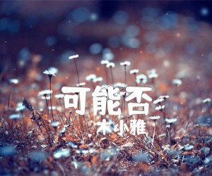 《可能否吉他谱》_木小雅_C调_吉他图片谱2张