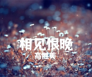 《相见恨晚吉他谱》_高胜美_E调_吉他图片谱2张