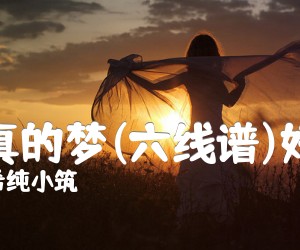 《最真的梦(六线谱)好听》_希纯小筑_周华健_D调_吉他图片谱1张