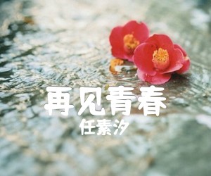 《再见青春吉他谱》_任素汐_C调弹唱谱_汪峰_六线谱高清版好听_C调_吉他图片谱2张