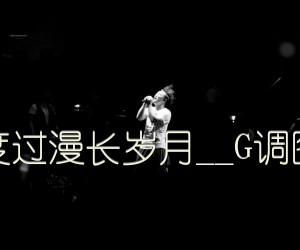 《陪你度过漫长岁月吉他谱》_陈奕迅__G调图片谱_G调_吉他图片谱3张