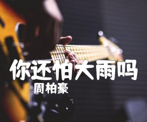 《你还怕大雨吗吉他谱》_周柏豪__C调弹唱谱完整版_C调_吉他图片谱2张