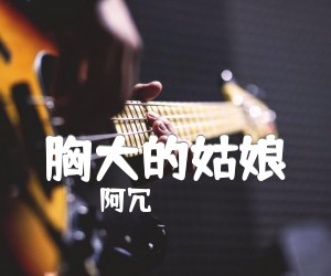 《胸大的姑娘吉他谱》_阿冗_留声玩具_C调六线谱完整版_C调_吉他图片谱3张