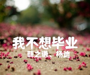 《我不想毕业吉他谱》_薛之谦、杨迪_薛之谦/杨迪_G调指法六线谱标准版_G调_吉他图片谱2张