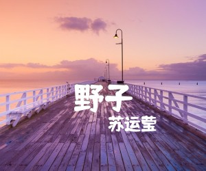 《野子吉他谱》_苏运莹__C调图片谱完整版_C调_吉他图片谱2张