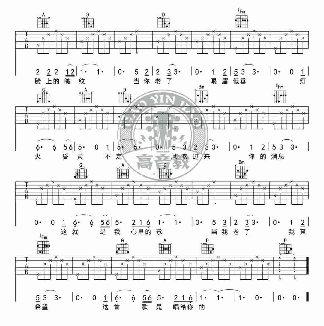 《当你老了吉他谱》_赵照_D调 图二