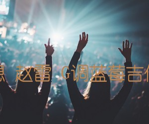 《理想 赵雷 G调蓝莓吉他版吉他谱》_群星_G调_吉他图片谱1张