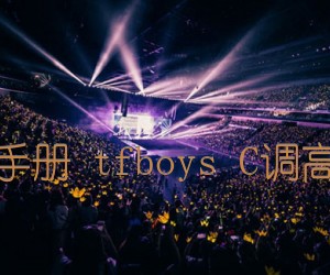 《青春修炼手册 tfboys C调高清弹唱谱吉他谱》_群星_C调_吉他图片谱1张