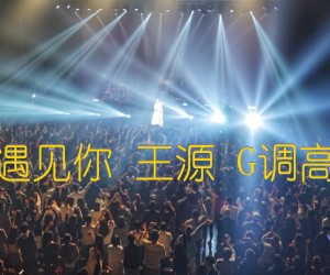 《因为遇见你 王源 G调高清谱吉他谱》_群星_G调_吉他图片谱1张