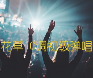 《兰花草 C调初级弹唱版吉他谱》_群星_C调_吉他图片谱1张