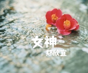 《女神吉他谱》_郑欣宜_F调_吉他图片谱3张