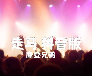 《走马 抖音版吉他谱》_摩登兄弟_C调_吉他图片谱3张