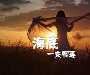 《海底吉他谱》_一支榴莲_G调_吉他图片谱2张