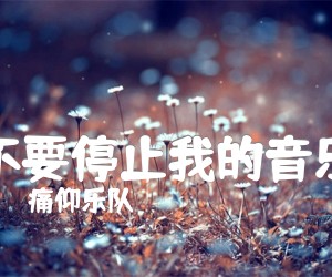 《不要停止我的音乐吉他谱》_痛仰乐队_C调_吉他图片谱2张