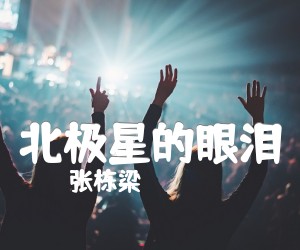 《北极星的眼泪吉他谱》_张栋梁_C调_吉他图片谱1张