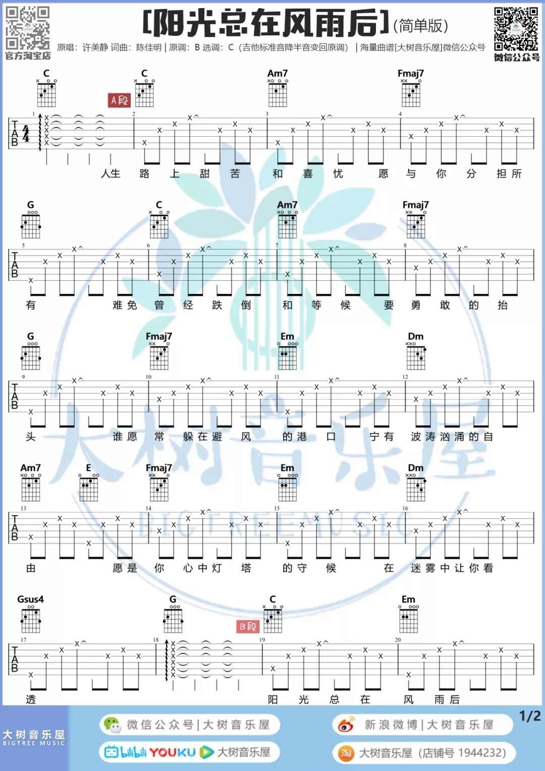 阳光总在风雨后吉他谱,简单C调原版指弹曲谱,许美静高清流行弹唱六线乐谱