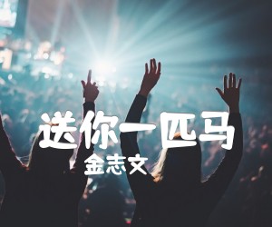 《送你一匹马吉他谱》_金志文_D调_吉他图片谱2张