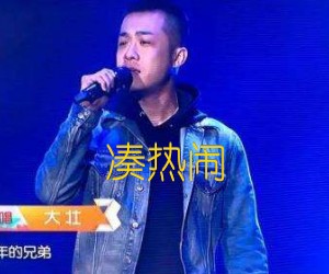 《凑热闹吉他谱》_刘大壮_G调_吉他图片谱2张