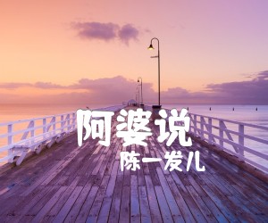 《阿婆说吉他谱》_陈一发儿_G调_吉他图片谱2张