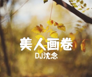 《美人画卷吉他谱》_DJ沈念_G调_吉他图片谱3张