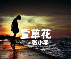 《萱草花吉他谱》_张小斐_G调_吉他图片谱3张