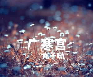 《广寒宫吉他谱》_丸子呦_C调_吉他图片谱3张