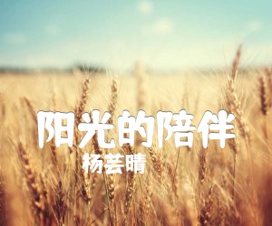 《阳光的陪伴吉他谱》_杨芸晴_C调_吉他图片谱5张