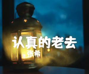 《认真的老去吉他谱》_张希_G调_吉他图片谱4张